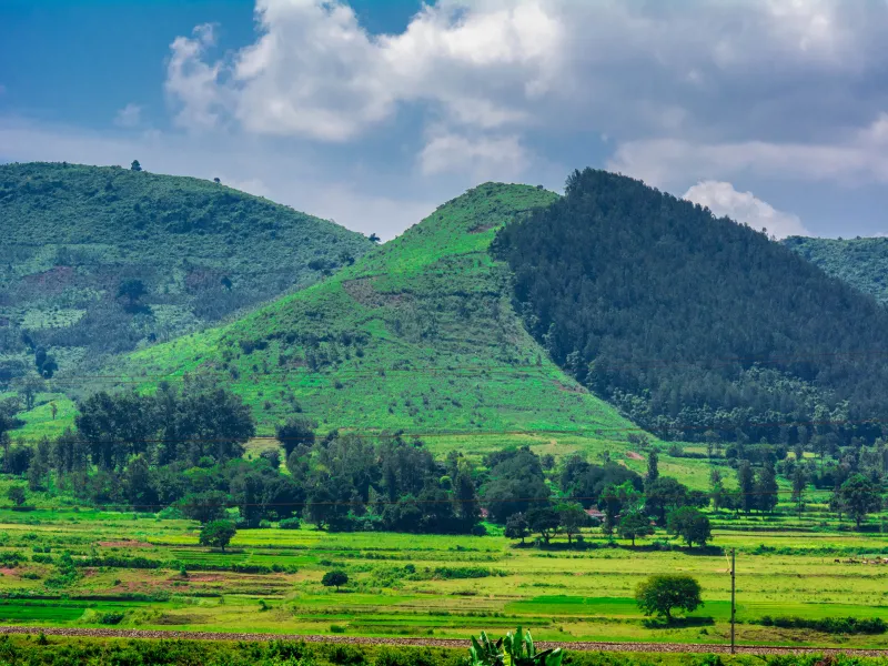 Gallery Folder 1 KW 1